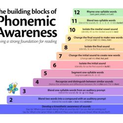 The use of nonsense words for phonemic awareness activities is: