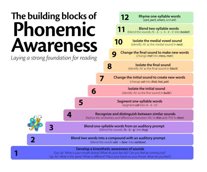 The use of nonsense words for phonemic awareness activities is: