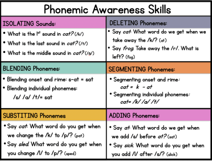 The use of nonsense words for phonemic awareness activities is: