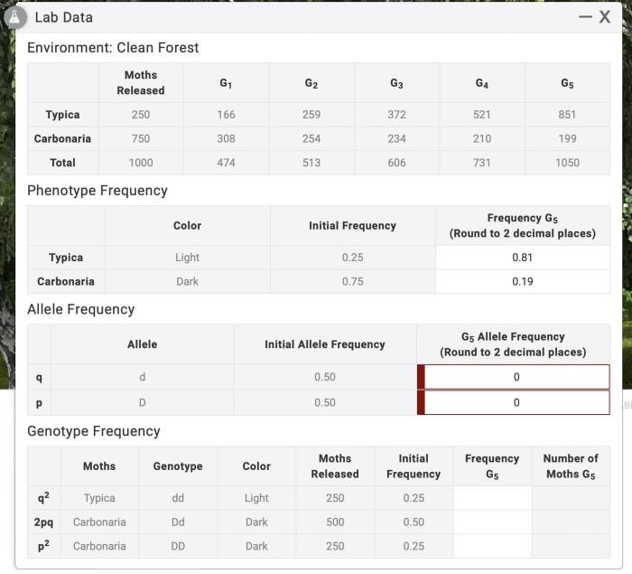 Calculate allele frequencies in 5th generation. record in lab data