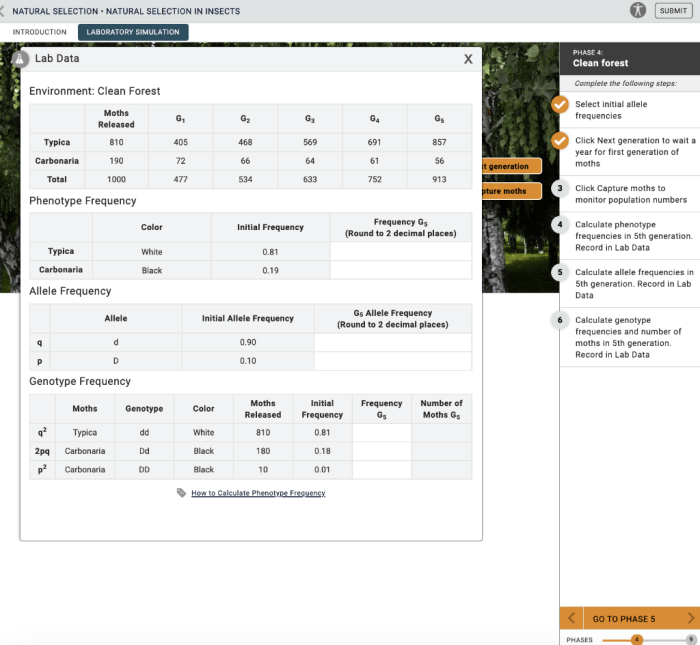 Calculate allele frequencies in 5th generation. record in lab data